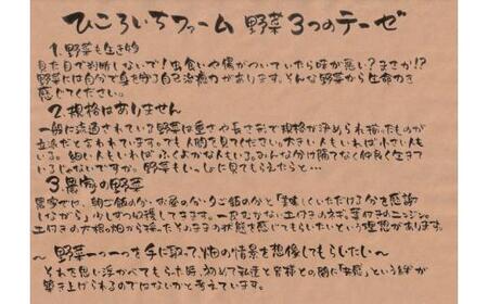 【6ヶ月定期便／毎月2回(合計12回)発送】訳あり 野菜セット 約3～4種類 農家のおすそわけ 旬 野菜セット