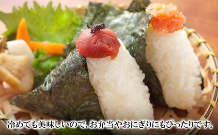 三重県津市産　コシヒカリ　20kg | 精米 白米 ご飯 津市 三重県