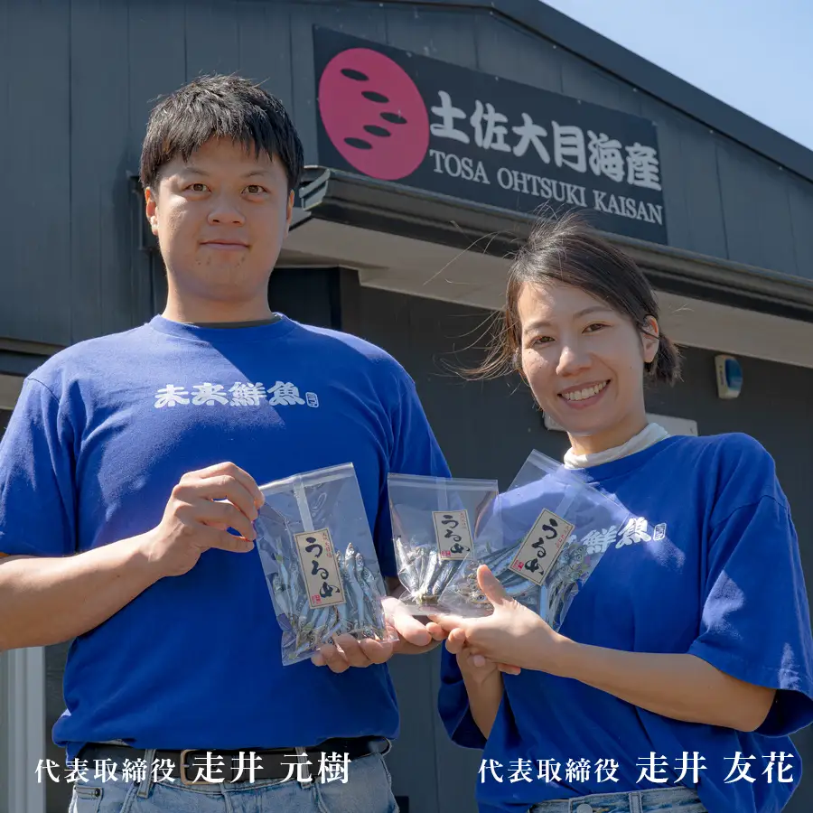 鮮魚 3kg～ 鮮魚ボックス 詰め合わせ 刺身 刺し身 さしみ 鮮度抜群 産地直送 高知県産