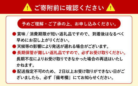 【先行予約】生紫うに 60g×1本 [JBD054] うに 生うに