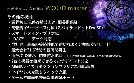 【サンバーストブラウン】Victor ワイヤレスイヤホン HA-FW5000T 木の振動板 WOODシリーズ AJZ0015VC01