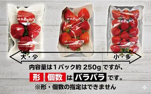 【2027年2～4月発送】博多あまおう4パック3回定期便 約1kg×3回[H5342]
