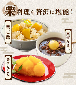 【先行予約】栗 約5kg 2Lサイズ 日本フルーツ株式会社《9月中旬-10月上旬頃出荷》熊本県 菊池市 栗 くり 熊本県産 2L 栗きんとん 栗ごはん
