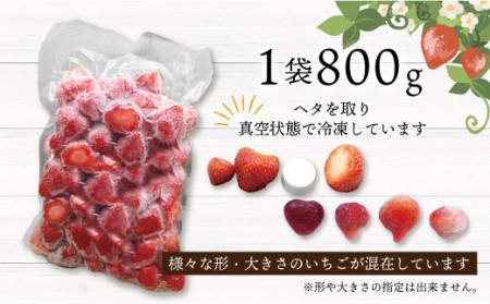 冷凍「博多あまおう」800g×2袋　計1.6kg[H4001]