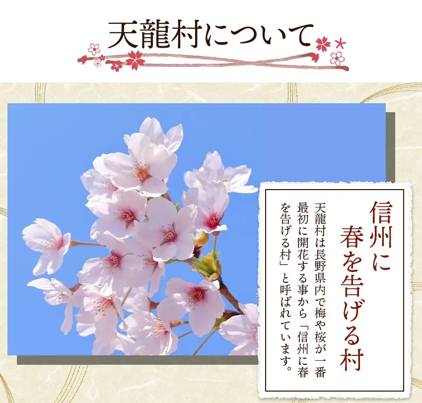 シングルオリジン手摘みのお茶 中井侍銘茶1袋(45g)