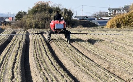 【淡路島玉ねぎ・サイズ混合】三世代で紡ぐ味淡路島の玉ねぎ 10Kg◆配送6月上旬～8月中旬