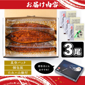 【B57007】土用の丑の日 うなぎ 蒲焼 有頭 (3尾 計480g以上 タレ・山椒付) 鹿児島 国産 大隅産 鰻 蒲焼き【一般社団法人きもつき宇宙協議会】