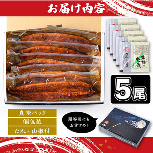 【C57007】土用の丑の日 うなぎ 蒲焼 有頭 (5尾 計800g以上 タレ・山椒付) 鹿児島 国産 大隅産 鰻 蒲焼き【一般社団法人きもつき宇宙協議会】