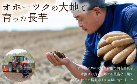 長芋 5kg ABBX002