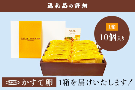 たまご家のカステラ　さがかすて卵ギフト 10個入りセット【個包装で嬉しい】ふるさと納税 カステラ 個包装 濃厚 こだわり卵 お中元 お歳暮 内祝い 贈答 贈り物 鹿島市B-906