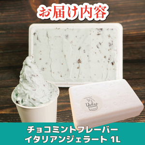 ジェラート イタリアンジェラート チョコミント 1000ml
