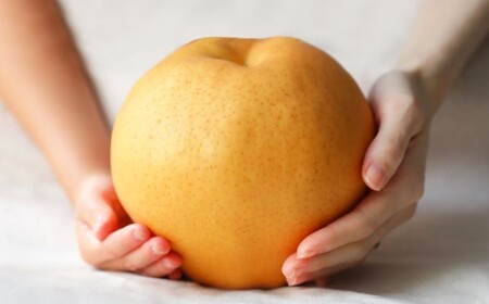 備前横綱梨 （あたご梨） 超大玉 1玉 約1kg～1.4kg 贈答箱 ／ 愛宕梨 梨 なし ナシ 果物  【2026年11月下旬～12月下旬発送予定】
