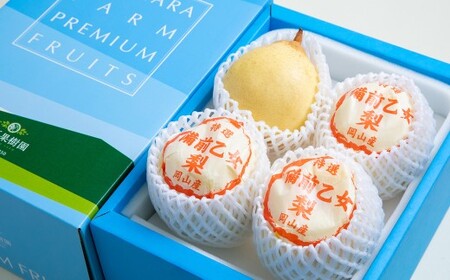 備前乙女梨 3～4玉 合計約2kg 梨 ナシ なし 鴨梨 ヤーリー 【2026年11月下旬～12月下旬発送予定】
