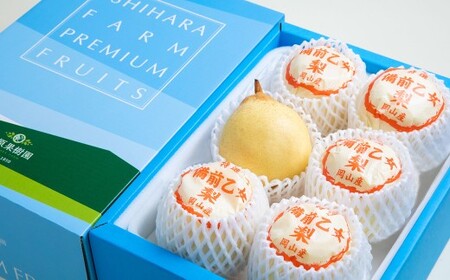 備前乙女梨 5～6玉 合計約3kg 梨 ナシ なし 鴨梨 ヤーリー 【2026年11月下旬～12月下旬発送予定】