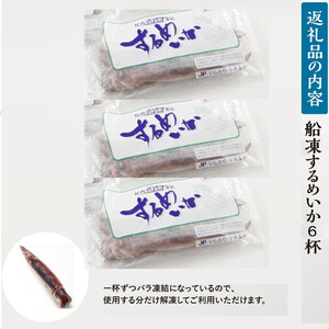 【復興支援】船凍するめいか 約1.2kg 6杯 ( 2杯 × ３袋 )小分け 個包装 刺し身 海産物 魚介類 獲れたて 急速冷凍 新鮮 刺身 さしみ 烏賊 人気 おすすめ ご当地グルメ カルパッチョ パスタ いかめし 煮物