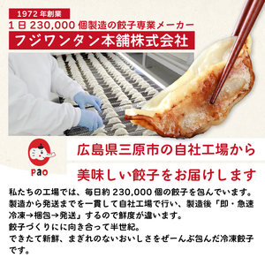 【3か月定期便】paoの無添加餃子「しそぎょうざ」520g(約40個) 全3回お届け 餃子 ギョーザ 惣菜 冷凍 中華 点心 おかず おつまみ 国産野菜 しそ風味 化学調味料不使用 食品添加物不使用 058018