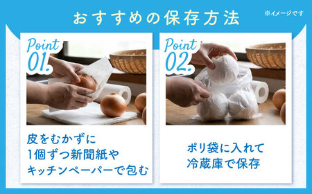 【2027年3月-発送】たまねぎ 5kg / タマネギ 玉葱 玉ねぎ 野菜 やさい カレー シチュー バーベキュー スープ サラダ / 南島原市 / 城谷農園[SGV001]