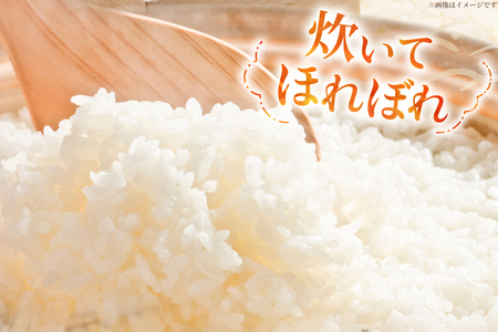 米 令和7年産 特別栽培米 つや姫 10kg (2.5kg×4袋) [齋藤 文芳 山形県 高畠町 tk06biz810000]