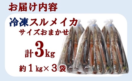 三陸水産 冷凍スルメイカ 約3kg （約1kg×3袋） イカ 刺身 いかの塩辛 いかめし いかげそ イカ焼き フライ いかソーメン 新鮮 海産物 魚介 使いやすい 便利