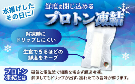 冷凍セーイカ (そでいか) 1.2kg (300g ×4パック) 沖縄市 / 沖縄市漁業協同組合 パヤオ直売店[BCDZ009]