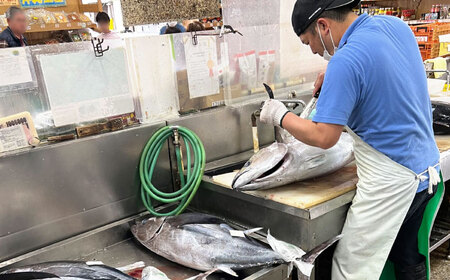 冷凍マグロギョーザ 96個(12個入り8パック) 餃子 冷凍 国産 マグロ 沖縄産 沖縄市 / 沖縄市漁業協同組合 パヤオ直売店[BCDZ013]