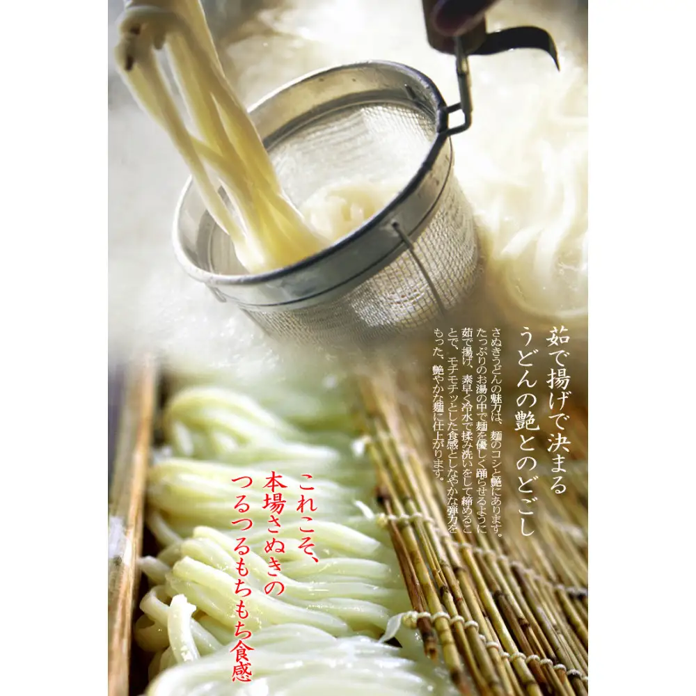 冷凍さぬきうどん 麵処 春奈 特製オリーブ牛肉うどん6人前