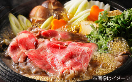 【全6回定期便】長崎和牛 肩ローススライス 総計3.0kg （約500g/回）【ながさき西海農業協同組合】 [DBV026][DBV026]