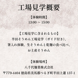 半田そうめん 工場見学 大人1名・小人1名様 チケット 