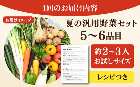 【先行予約】【全2回定期便】夏の汎用野菜セット（5〜6品目）夏（7月〜8月）【鈴也ファーム】[AKCE028]