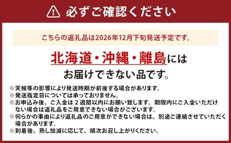 中央市産 キウイフルーツ （ ヘイワード ） 約1kg フルーツ 果物 くだもの キウイ 国産 山梨県産 旬の果物 【 2026年12月下旬発送予定 】