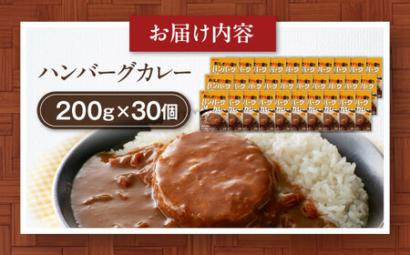 【カレー】ハンバーグカレーセット 30食入り[AGDT035]