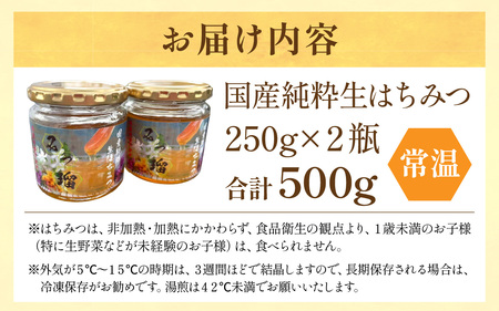 【先行予約】【期間限定】国産純粋生はちみつ[C-03001] | はちみつ