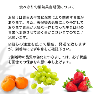 【2026年受付】ご家庭用 食べきり 旬菜旬果フルーツ定期便 全12回 