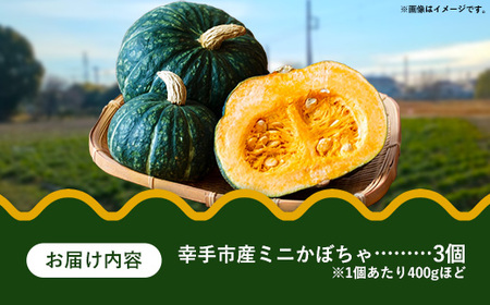 【きあり農園】2026年度 幸手市産 ミニかぼちゃ 3個 - カボチャ 南瓜 栗てまり 産地直送