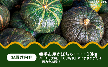 【きあり農園】2026年度 幸手市産 かぼちゃ 約10kg - カボチャ 南瓜 くり大将 くり将軍 産地直送