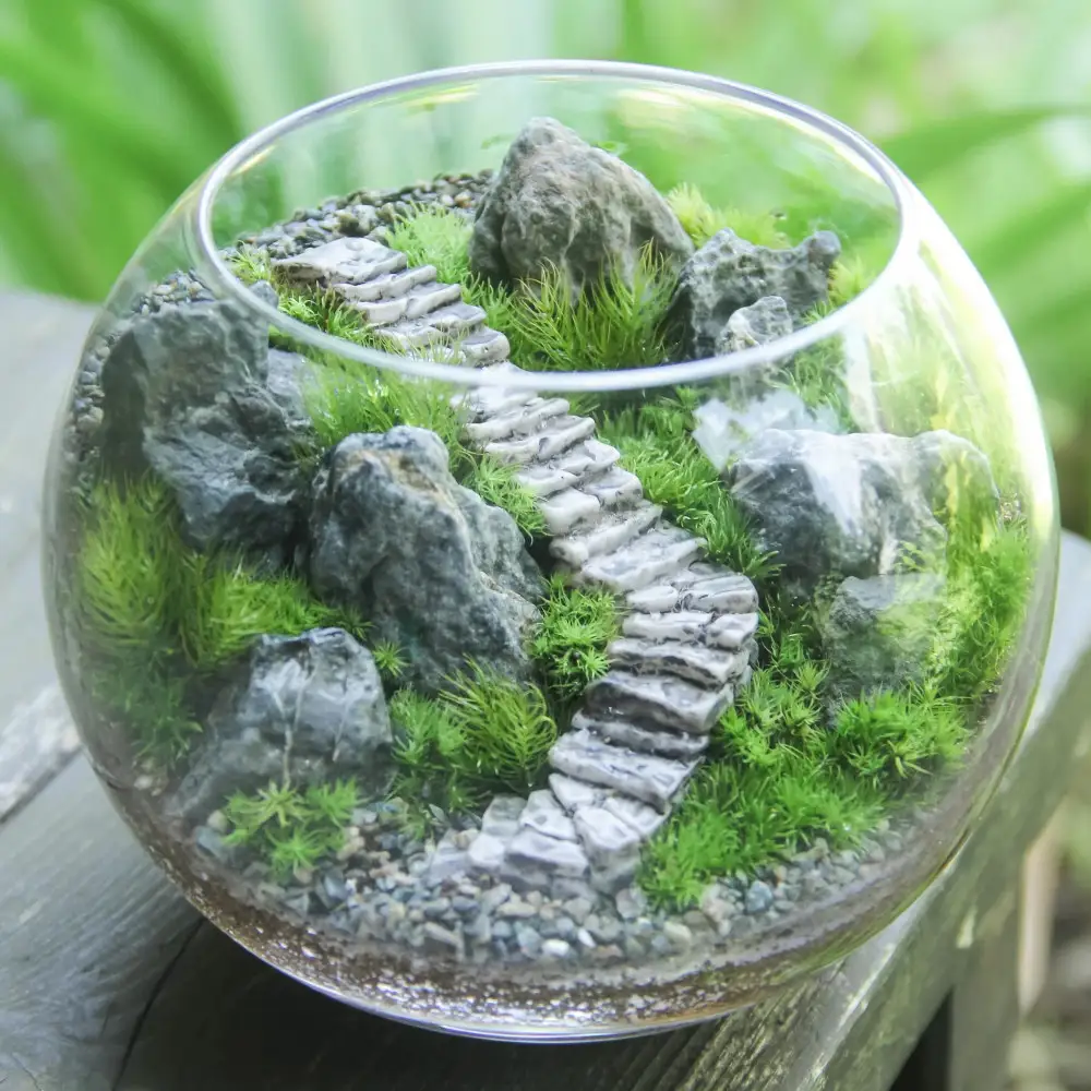 《苔テラリウム・コケリウム》階段の風景 ボウルLL