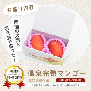 【2026年発送 先行予約】鹿児島県 指宿 産 温泉 完熟 マンゴー 約1kg T&P IB057-003 マンゴー フルーツ 果物