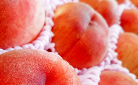 豊かな自然で、園主が愛情を注ぎ込んだ桃（赤桃・黄桃） 詰め合わせ 約3kg （9玉～20玉） ご家庭用 果物 くだもの 夏果実 フルーツ 産地直送 【2026年8月順次発送予定】