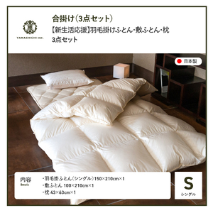 布団 【新生活応援】羽毛合い掛けふとん 敷ふとん 枕 3点セット(シングル) 布団