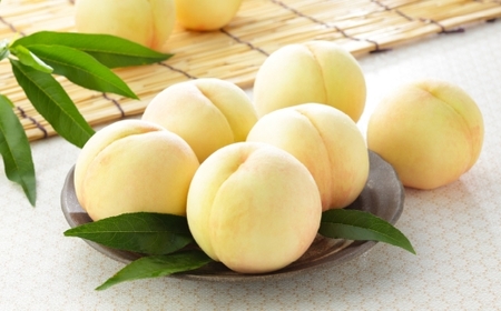 岡山白桃 ロイヤル 3玉×約200g （ Lサイズ ） 岡山県産 白桃 桃 もも モモ くだもの 果物 果実 フルーツ 国産 ギフト 贈り物 【 2026年7月上旬～8月下旬発送予定 】