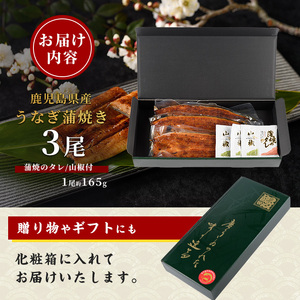 鹿児島県産 うなぎ蒲焼 じっくり焼き約165g×3尾 化粧箱入り 大新 IB021-004 うなぎ うなぎ