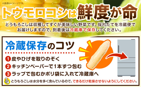 【先行予約】朝採り とうもろこし ビーナスコーン スイートコーン 20本 《2026年8月上旬-8月末頃出荷予定》山下農場 バイカラー 大粒 コーン トウモロコシ 送料無料 北海道 本別町北海道 十勝 本別町産 冷蔵便 甘い