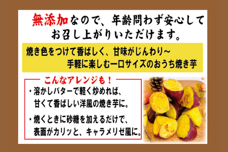 黄金コロコロ焼き芋 「鹿嶋産 紅あずま使用 焼き芋 4kg（500g×8袋）」 冷凍 焼き芋 さつまいも 紅あずま 芋 お菓子 おやつ 一口サイズ スイーツ 鹿嶋市 茨城県 (KK-17）