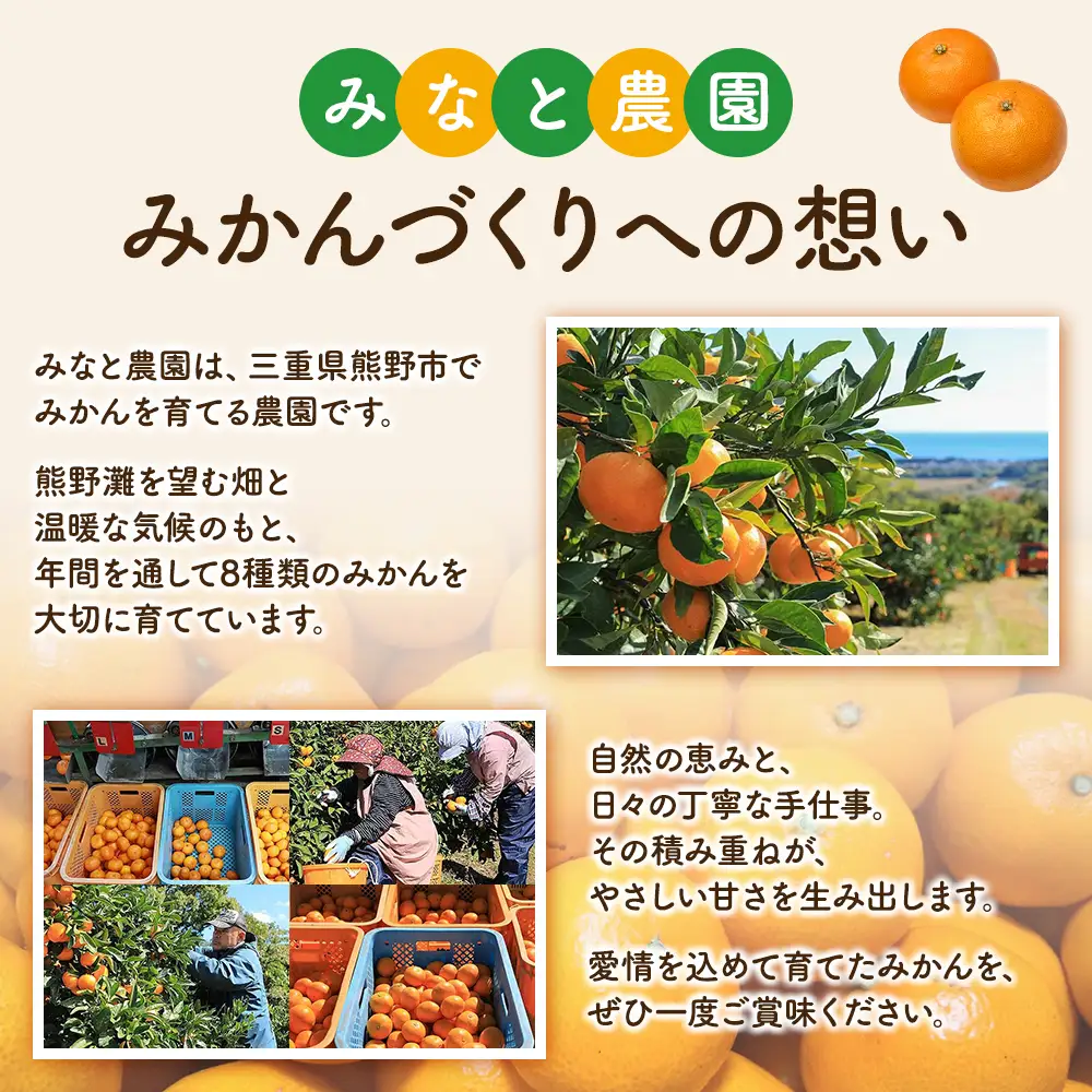 みかん ゆら早生みかん 約10kg【mntf0008】