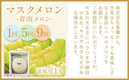 【12回定期便】マスクメロン堪能定期便【高知県産マスクメロン】 全12回 果物・フルーツ メロン めろん 定期便 定期便 Wtn-0056