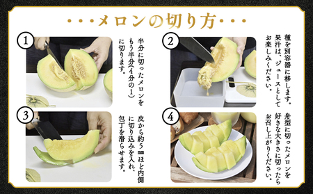 【６回定期便】マスクメロン（家庭用） 1玉入 青肉赤肉 交互にお届け ／ マスクメロン 果物 フルーツ ギフト 農家直送 Wtn-0049