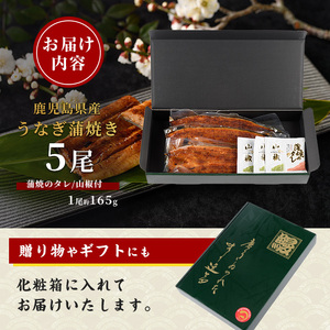 鹿児島県産 うなぎ蒲焼 じっくり焼き約165g×5尾 化粧箱入り 大新 IB021-002 うなぎ うなぎ 