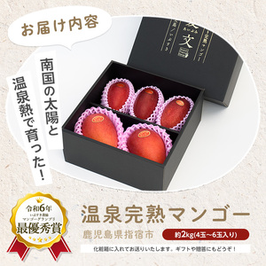 【2026年発送 先行予約】温泉 完熟 マンゴー 約2kg 4～6個 T&P IB057-002 マンゴー フルーツ 果物