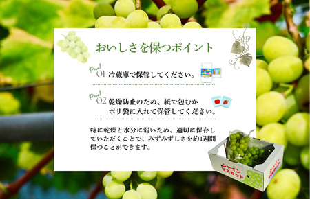 【先行予約】仙遊寺 シャインマスカット 約2kg（家庭用）【V003810K2】
