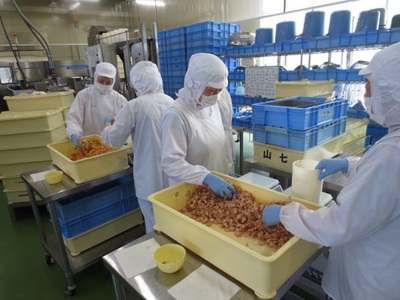 a13-120　冷凍　赤魚煮付け　1切×10袋